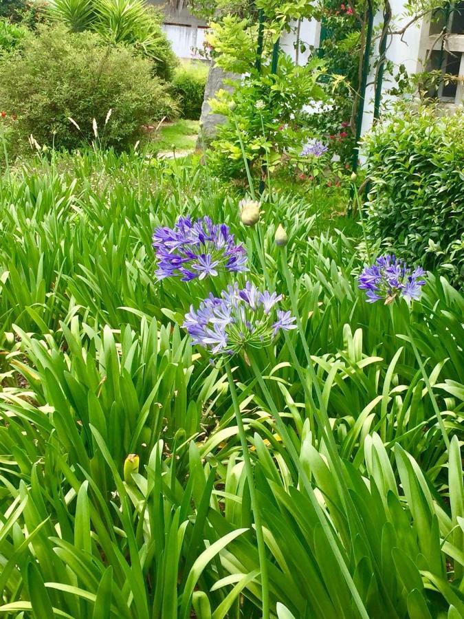 Cascais Seaside Garden Villa Экстерьер фото